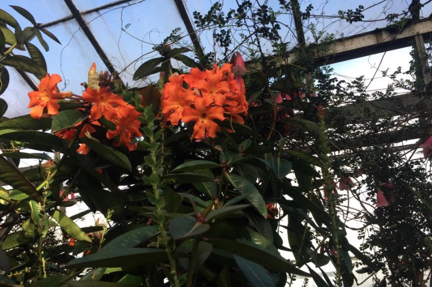 Interior of Botanic Gardens Herbarium
